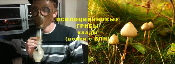 Альфа ПВП Ладушкин