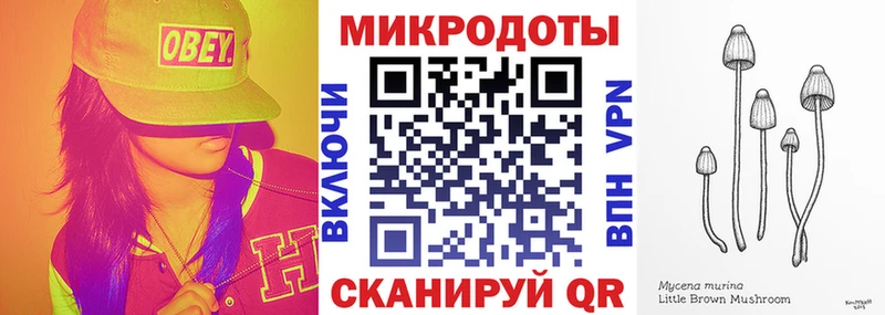 Галлюциногенные грибы Psilocybine cubensis Орехово-Зуево