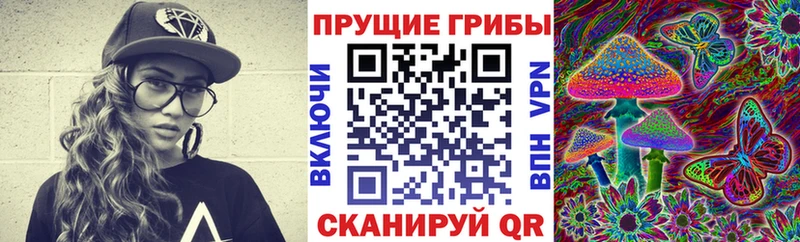 Галлюциногенные грибы прущие грибы  Орехово-Зуево 